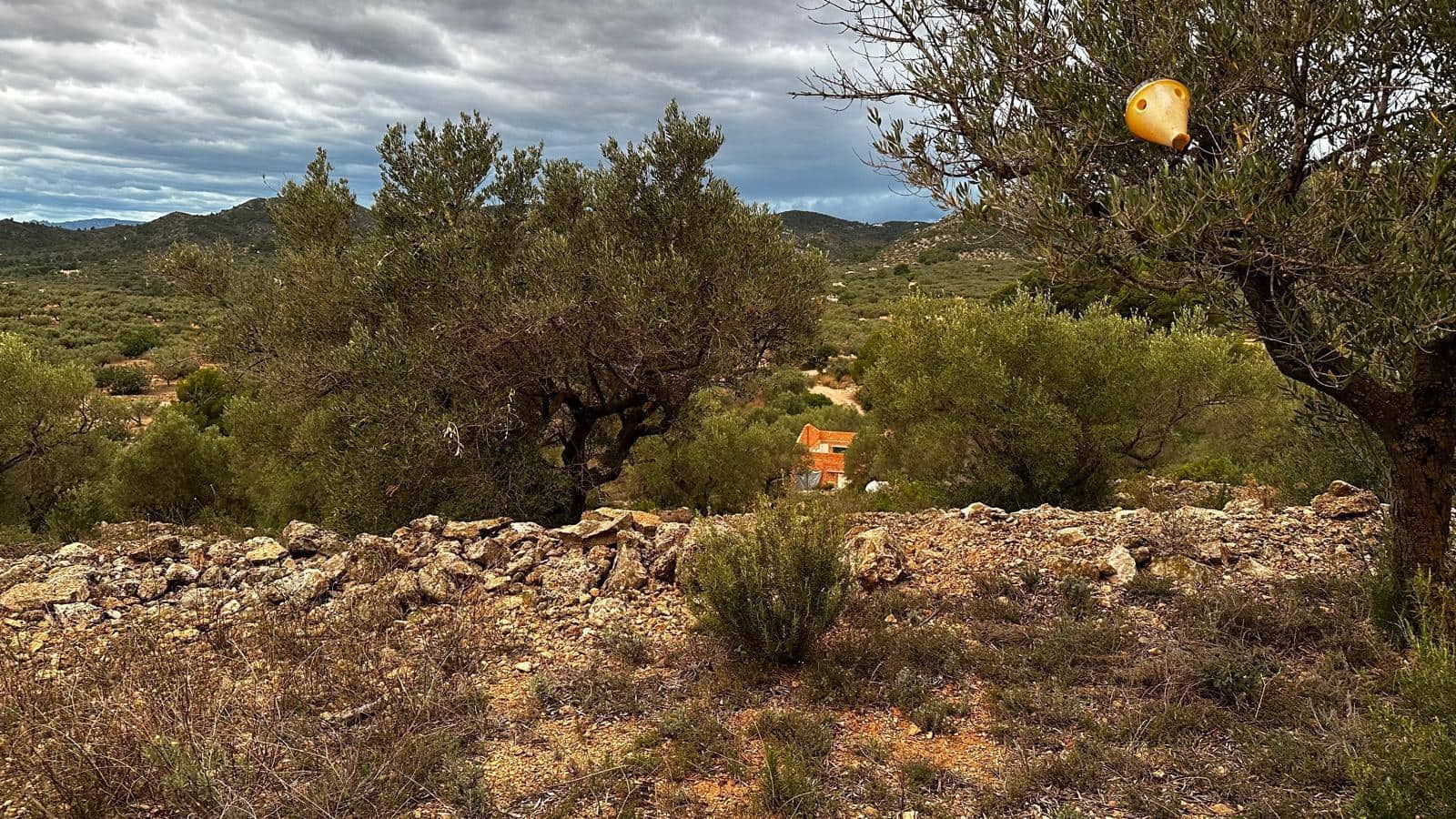 Finca/Landehus til salg i L'Ampolla - € 59.000 (Ref: 8664636)