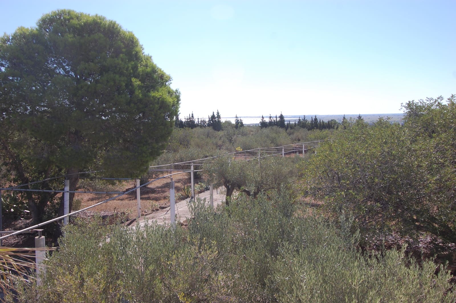 4 soveværelse Finca/Landehus til salg i L'Ampolla med swimmingpool garage - € 295.000 (Ref: 9303837)