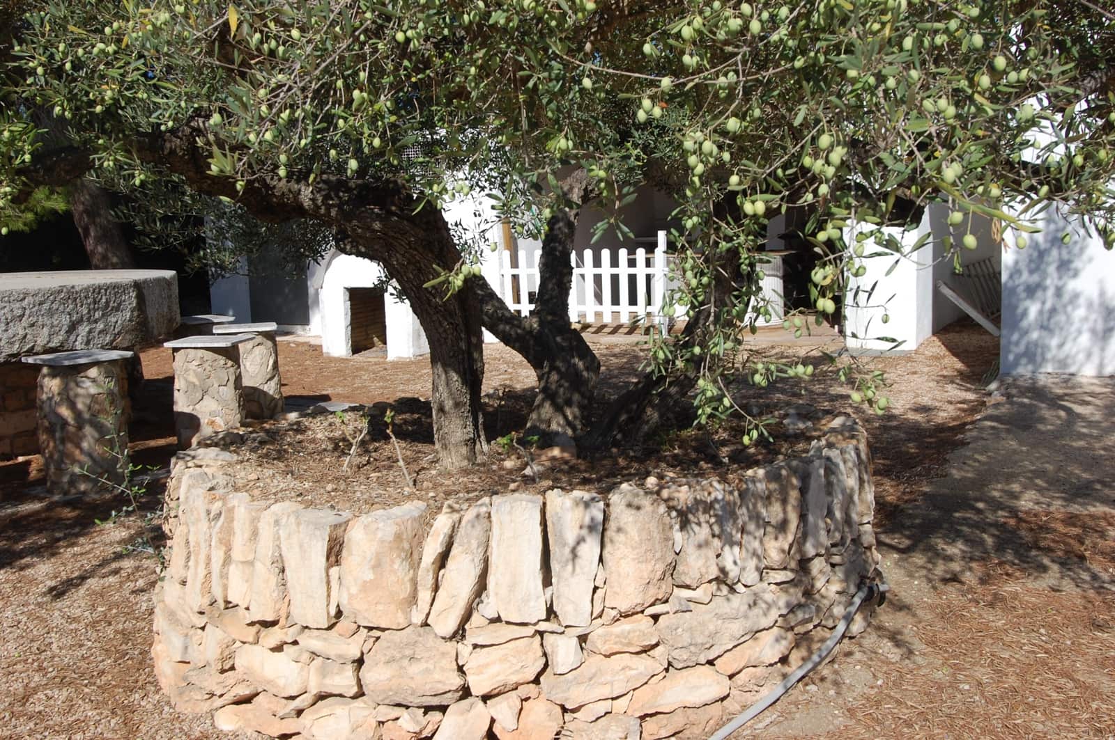 4 soveværelse Finca/Landehus til salg i L'Ampolla med swimmingpool garage - € 295.000 (Ref: 9303837)