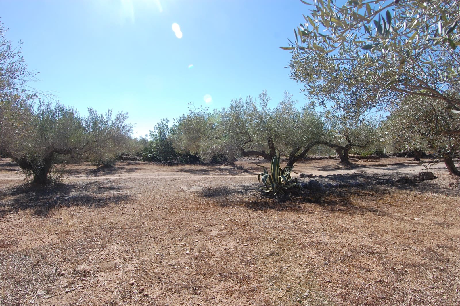 4 soveværelse Finca/Landehus til salg i L'Ampolla med swimmingpool garage - € 295.000 (Ref: 9303837)