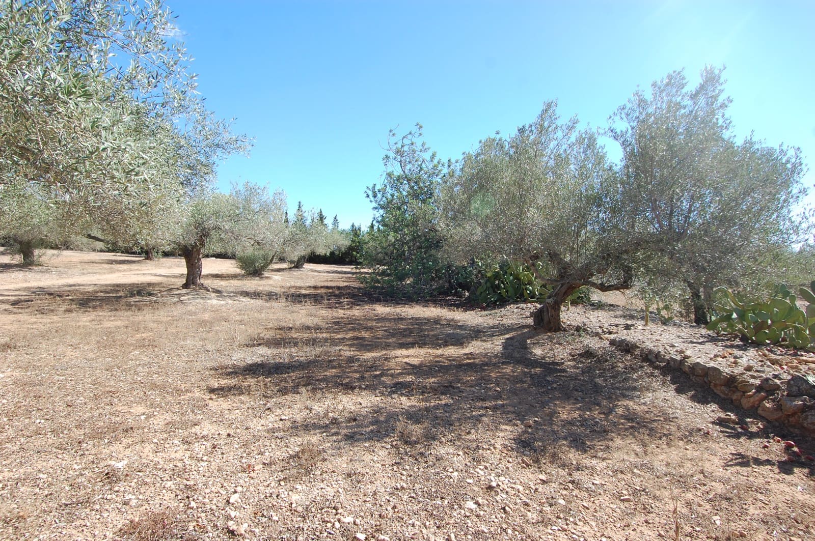 4 soveværelse Finca/Landehus til salg i L'Ampolla med swimmingpool garage - € 295.000 (Ref: 9303837)