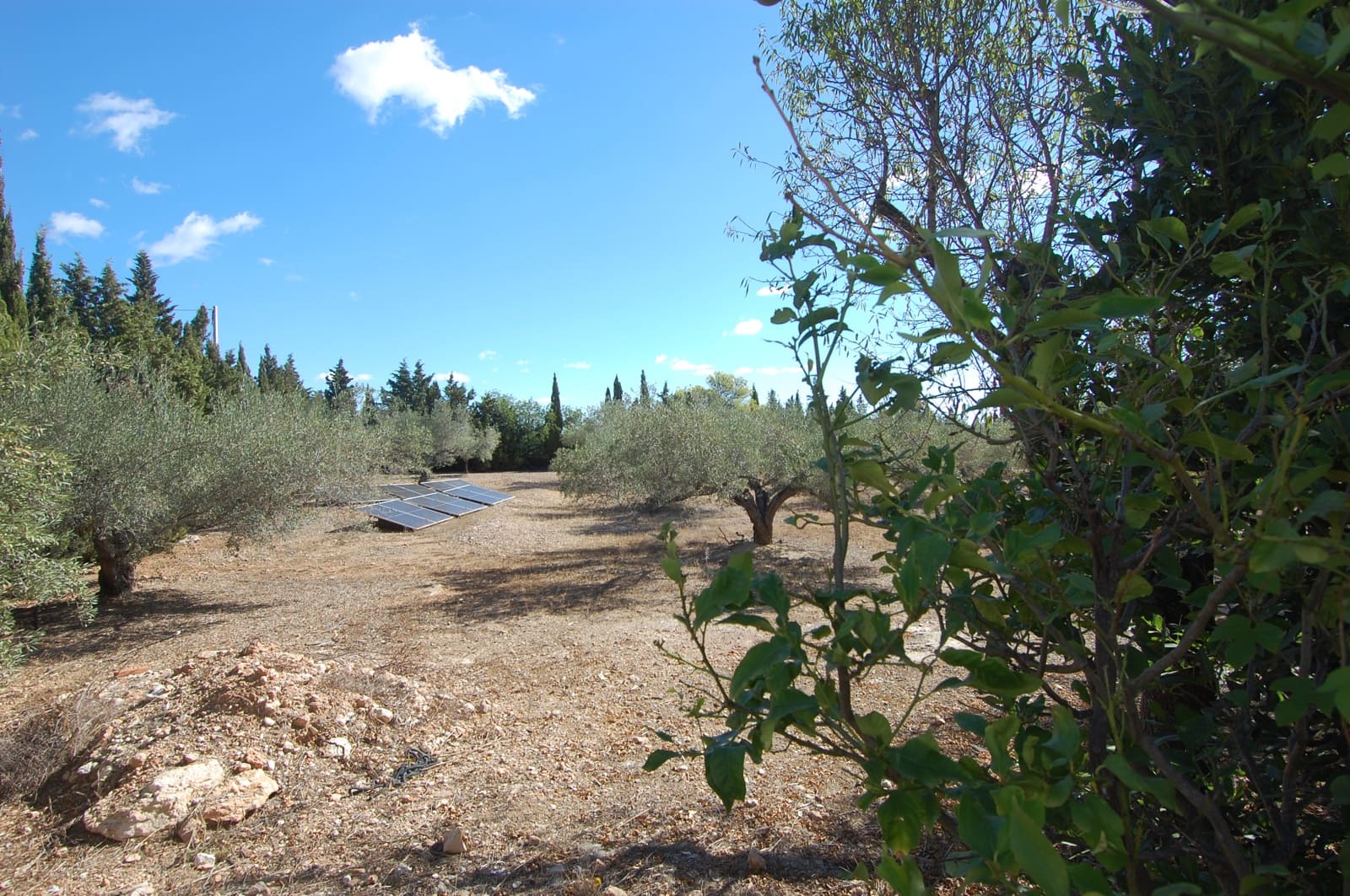 4 soveværelse Finca/Landehus til salg i L'Ampolla med swimmingpool garage - € 295.000 (Ref: 9303837)