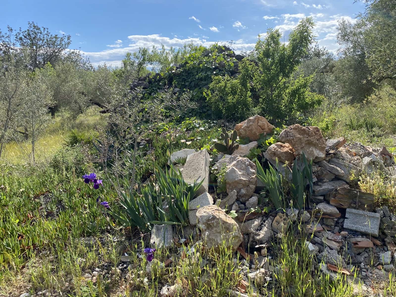 2 bedroom Finca/Country House for sale in L'Aldea with garage - € 145,000 (Ref: 9319173)