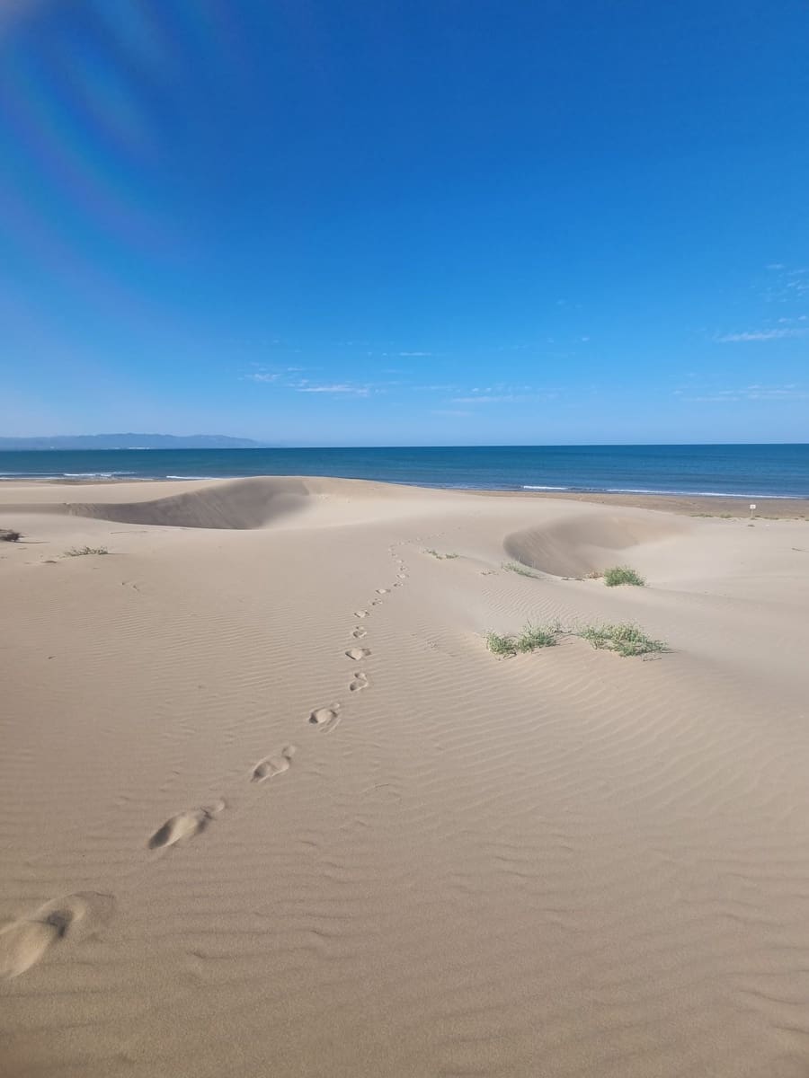 Byggetomt til salgs i El Perello - € 72 000 (Ref: 9354496)