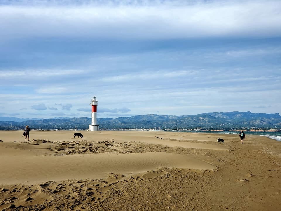 2 chambre Finca/Maison de Campagne à vendre à L'Aldea avec garage - 145 000 € (Ref: 9789917)