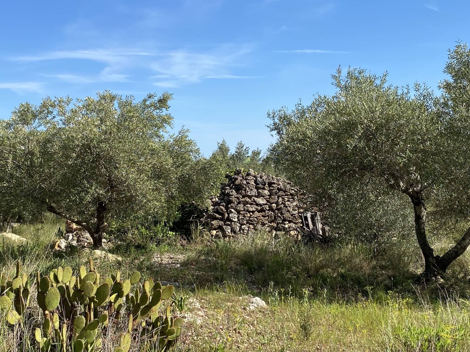 2 chambre Finca/Maison de Campagne à vendre à L'Aldea avec garage - 145 000 € (Ref: 9789917)