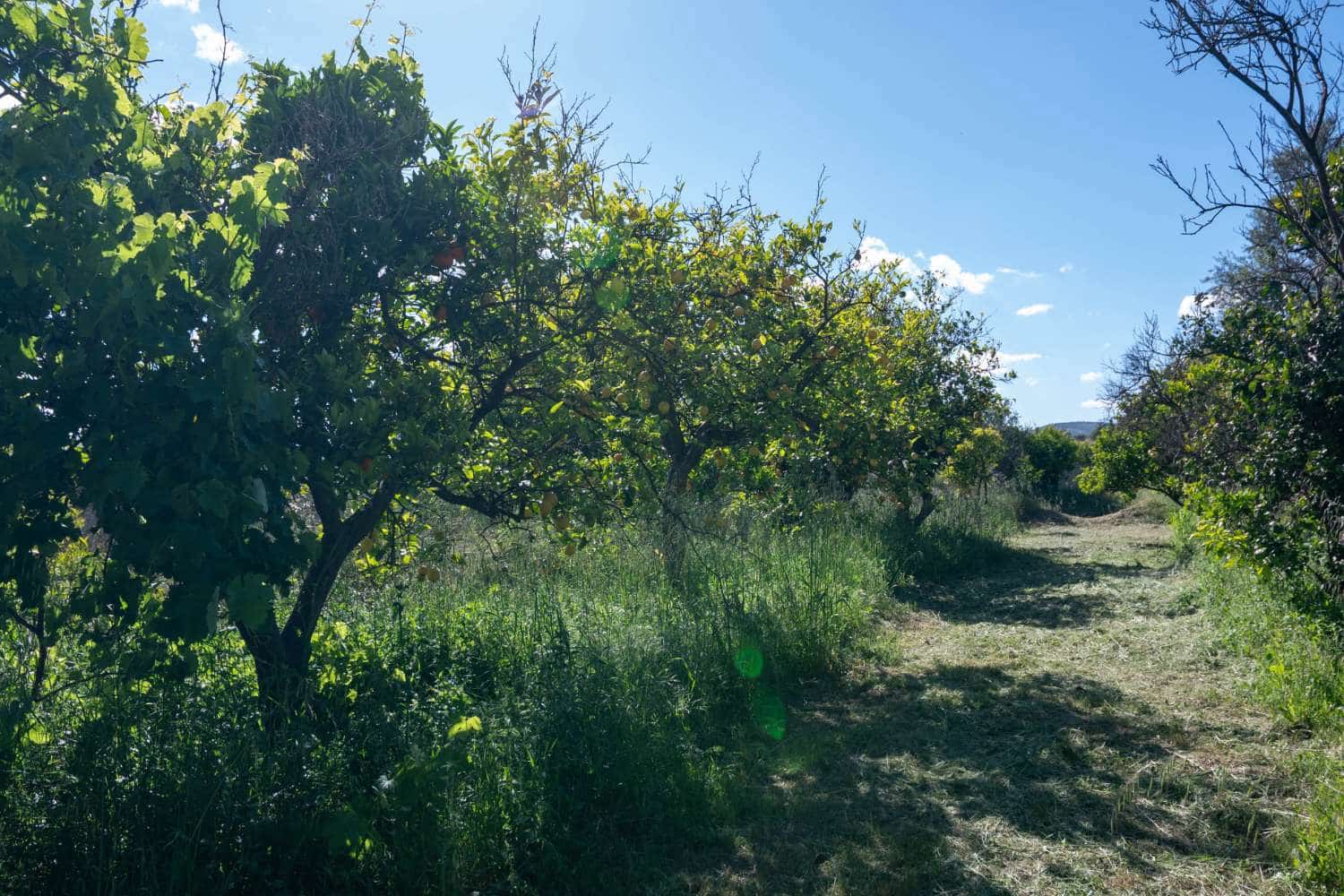3 soveværelse Byhus til salg i Lecrin - € 350.000 (Ref: 1410538)