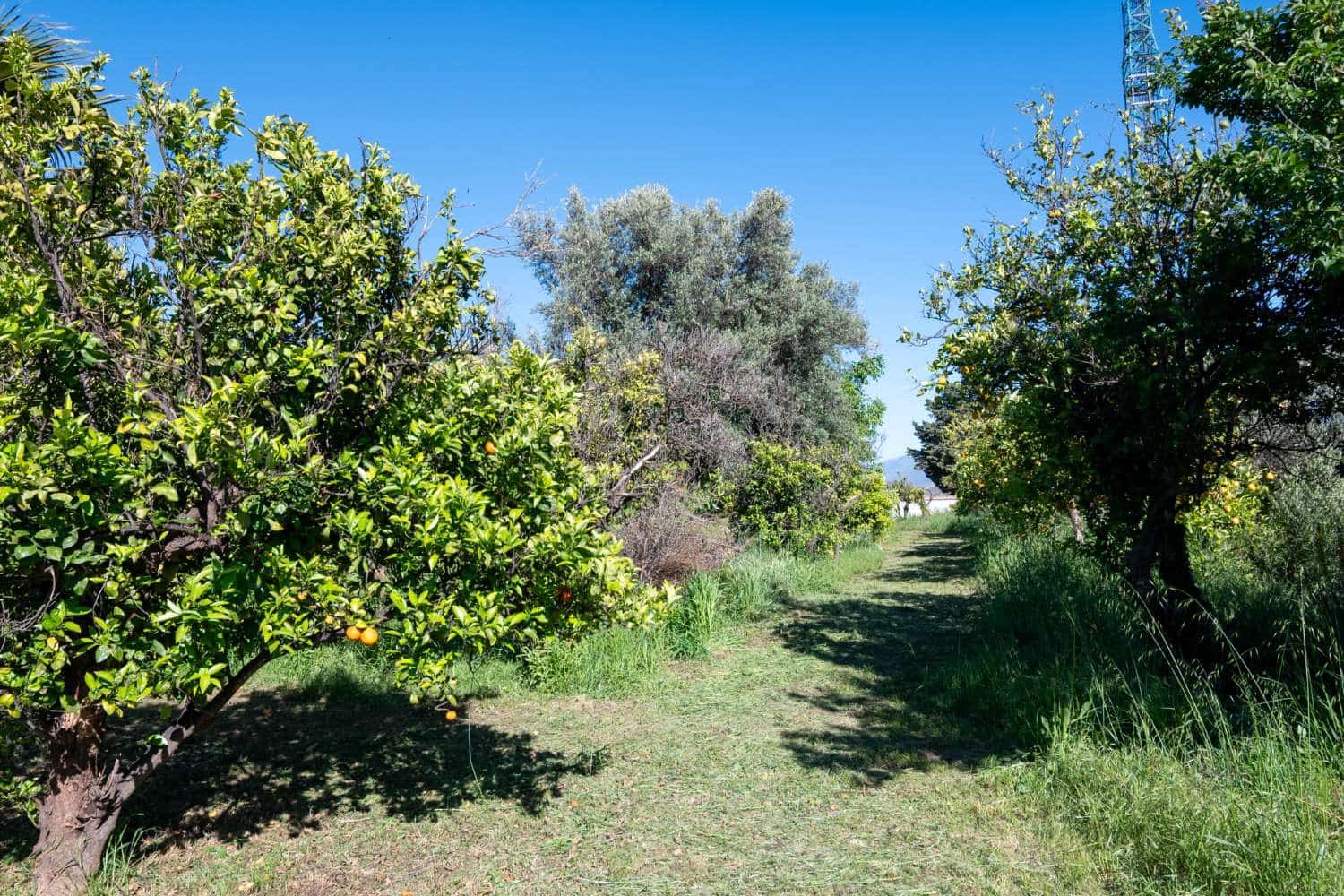 3 soveværelse Byhus til salg i Lecrin - € 350.000 (Ref: 1410538)