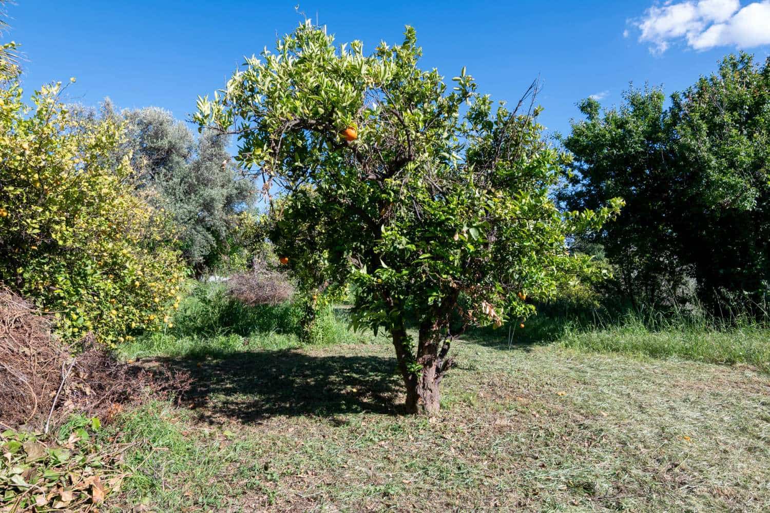 3 soveværelse Byhus til salg i Lecrin - € 350.000 (Ref: 1410538)