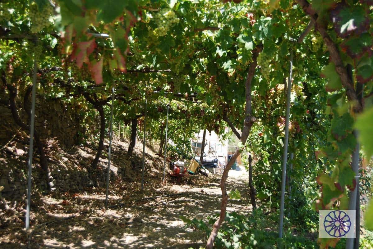 3 sypialnia Willa na sprzedaż w Salobrena z basenem - 525 000 € (Ref: 3669854)