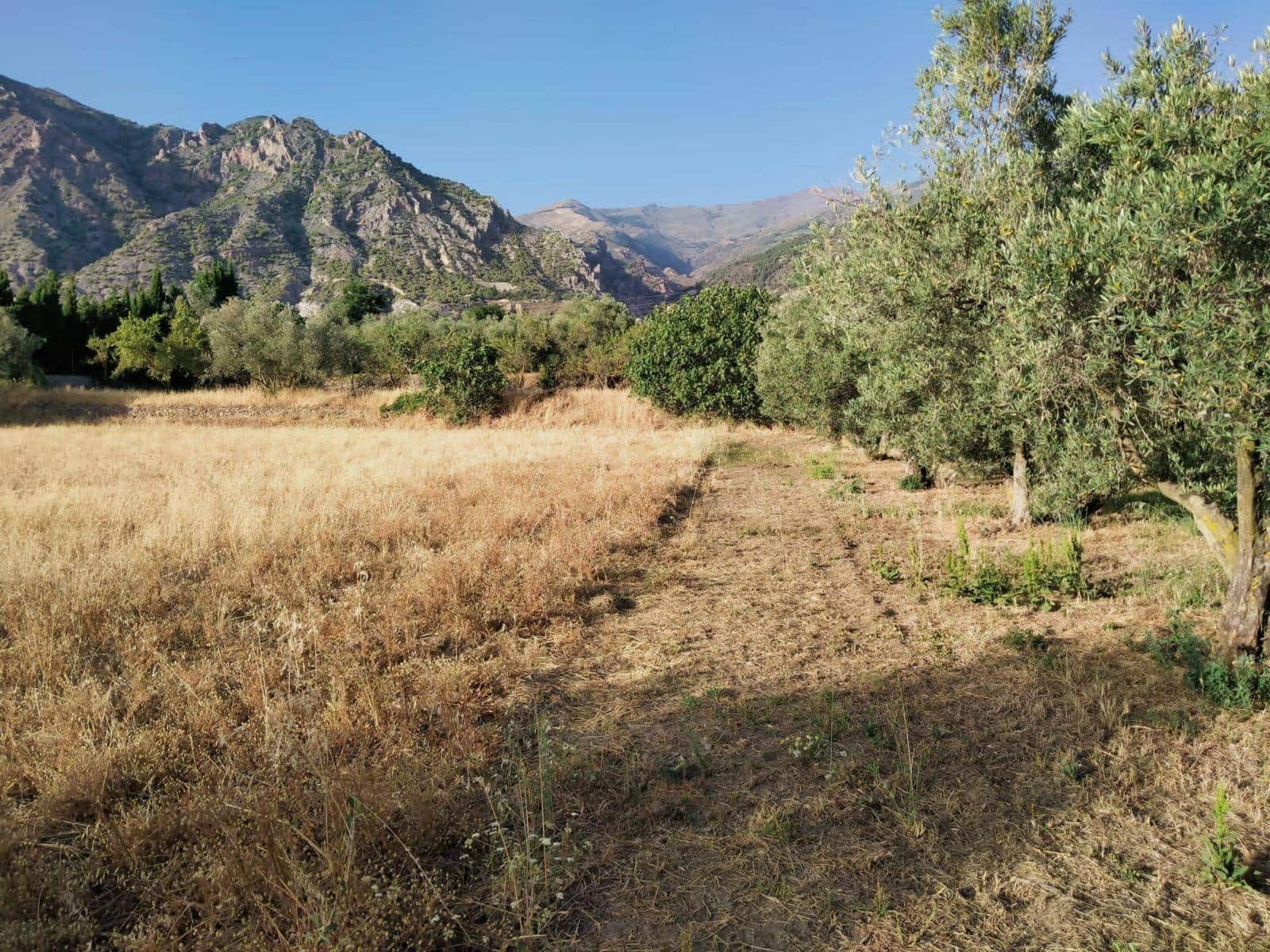 Byggegrund til salg i Niguelas - € 35.000 (Ref: 5424488)