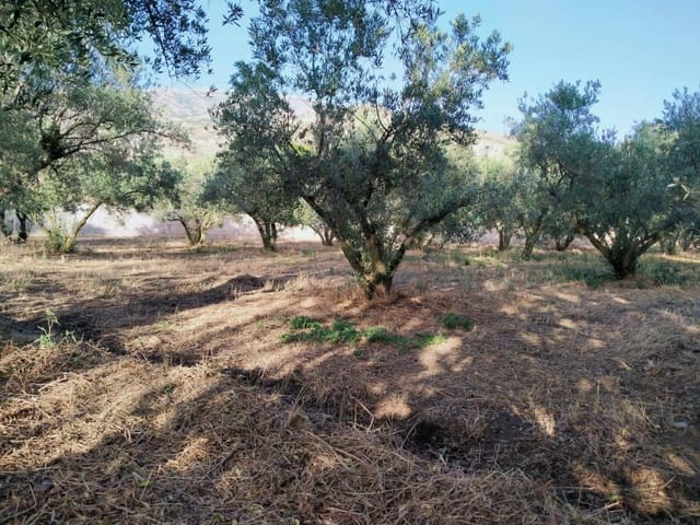 Bouwgrond te koop in Nigüelas - € 35.000 (Ref: 5424488)