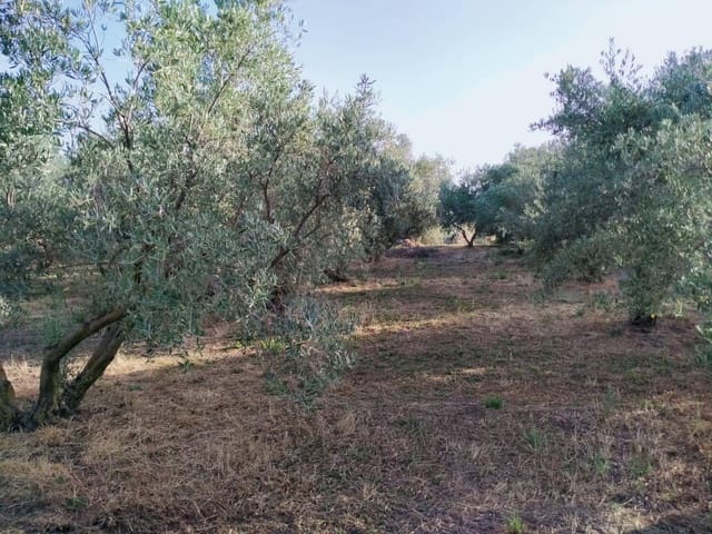 Bouwgrond te koop in Nigüelas - € 35.000 (Ref: 5424488)