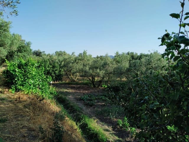 Bouwgrond te koop in Nigüelas - € 80.000 (Ref: 5428841)