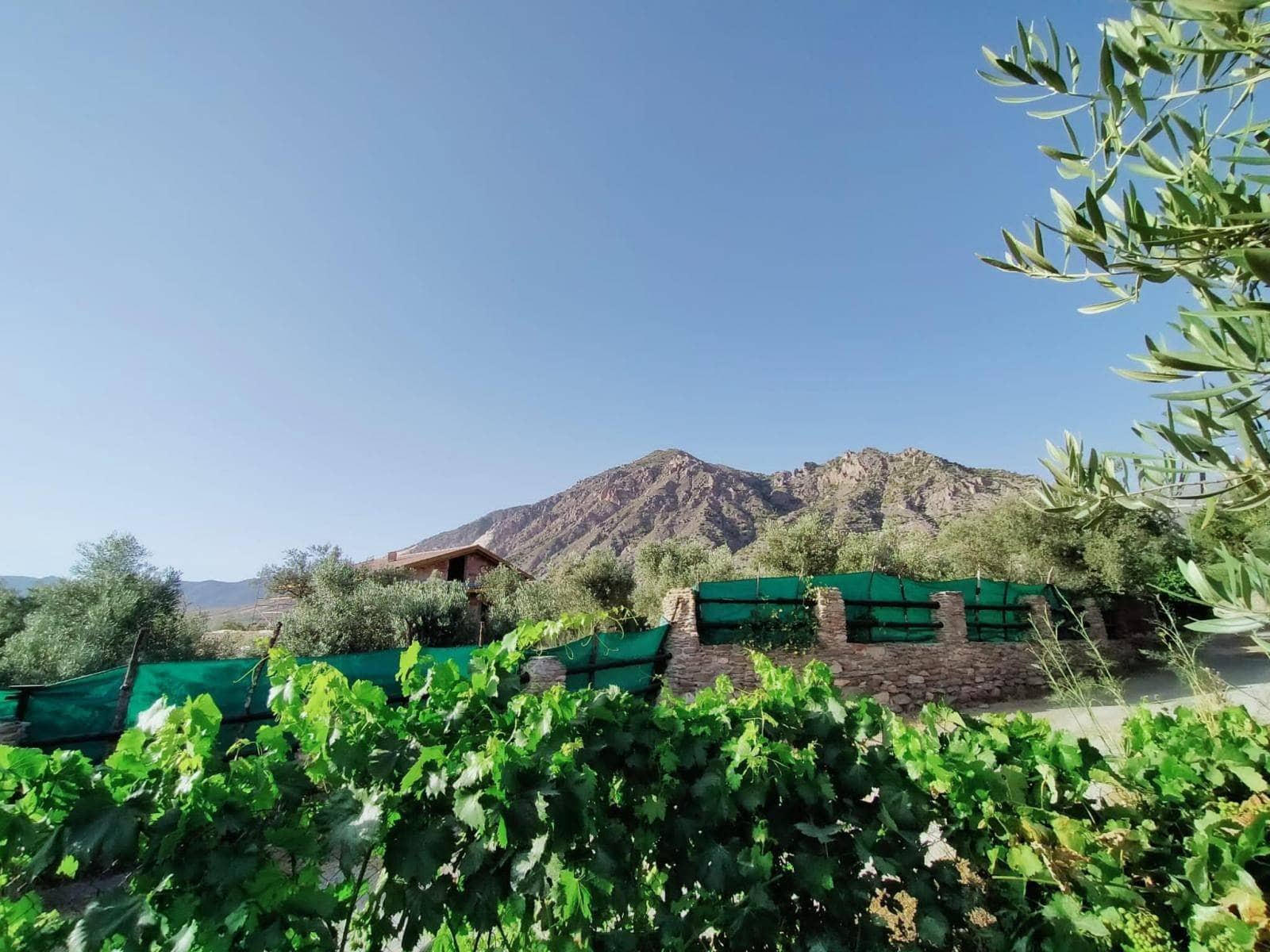 Byggegrund til salg i Niguelas - € 80.000 (Ref: 5428841)