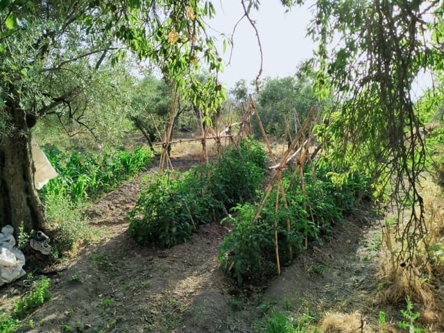 Bouwgrond te koop in Nigüelas - € 80.000 (Ref: 5428841)