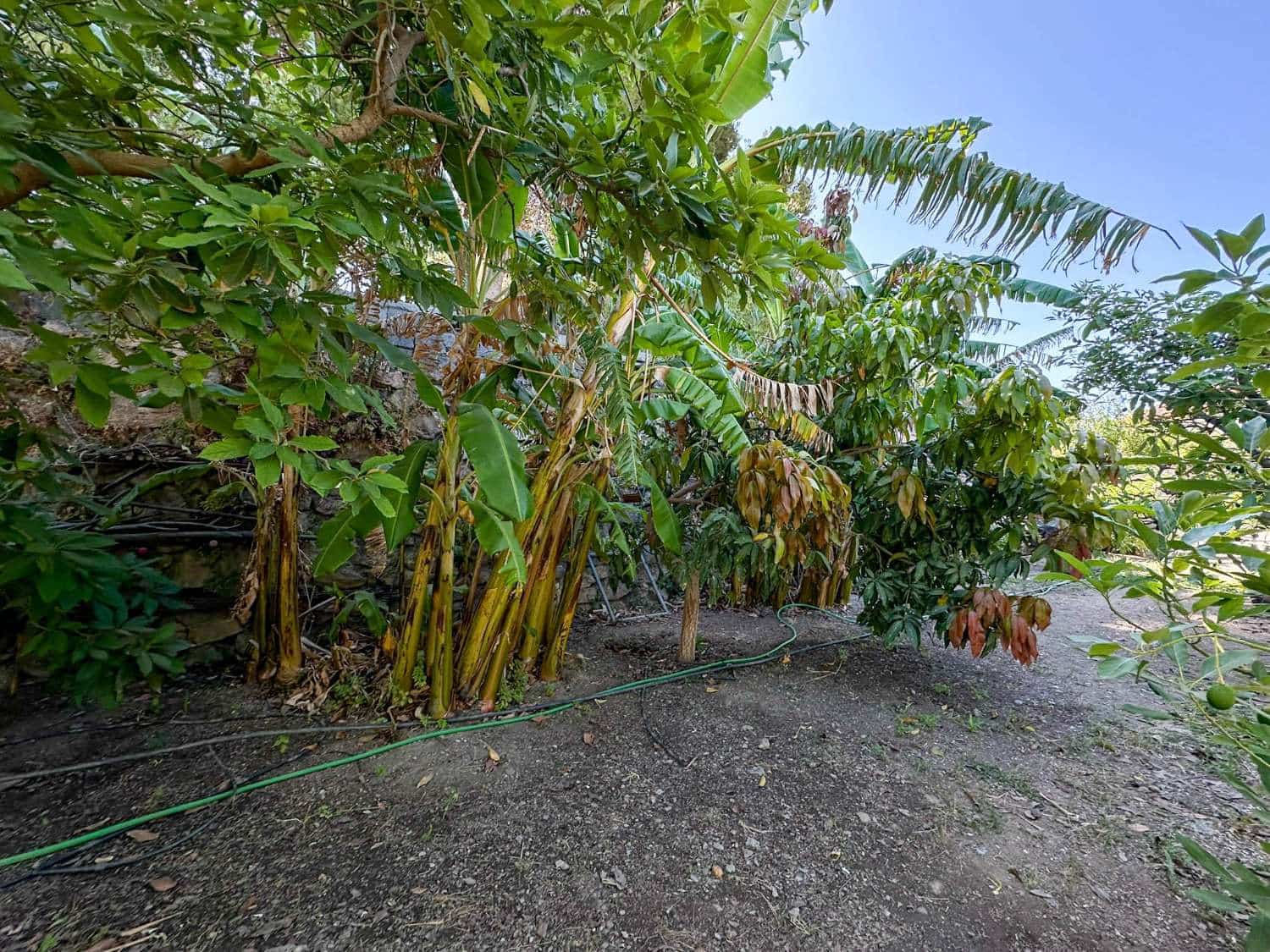 4 soveværelse Byhus til salg i Motril med swimmingpool - € 780.000 (Ref: 6338283)