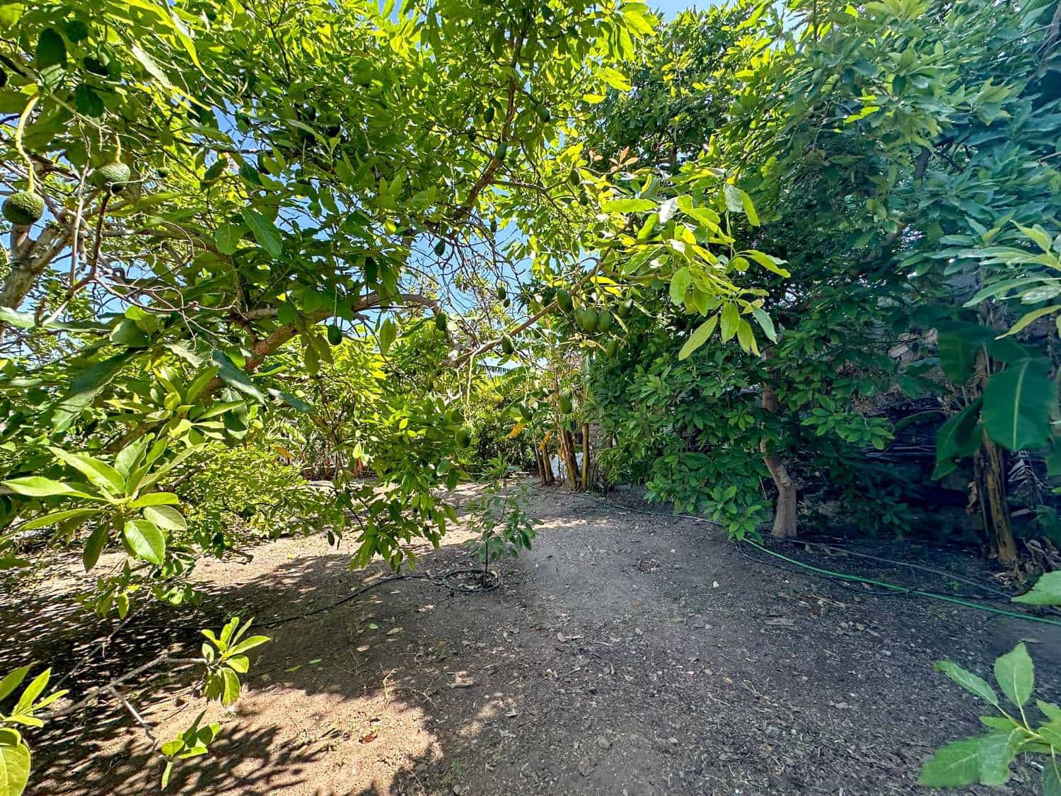 4 soveværelse Byhus til salg i Motril med swimmingpool - € 780.000 (Ref: 6338283)