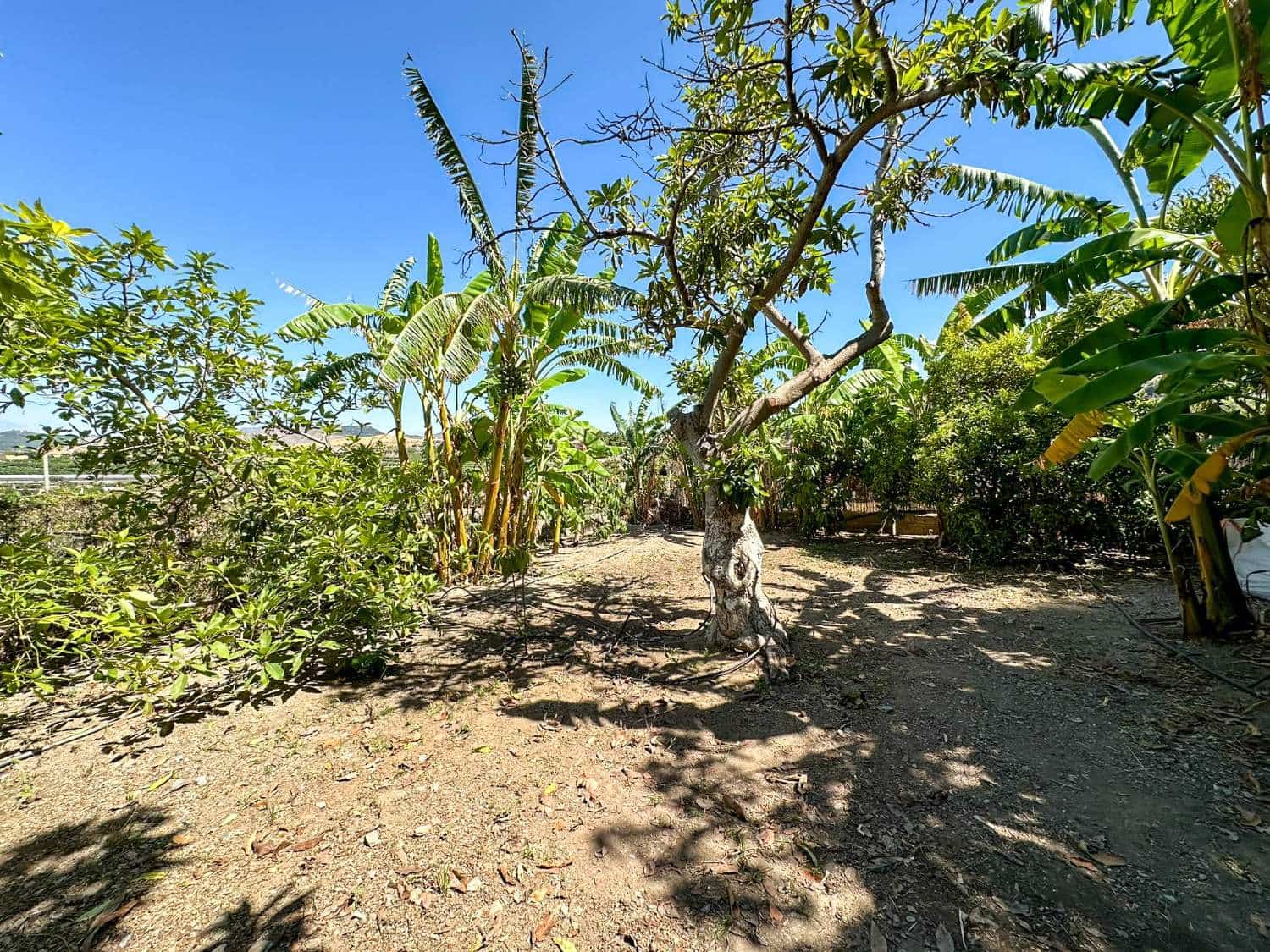 4 soveværelse Byhus til salg i Motril med swimmingpool - € 780.000 (Ref: 6338283)