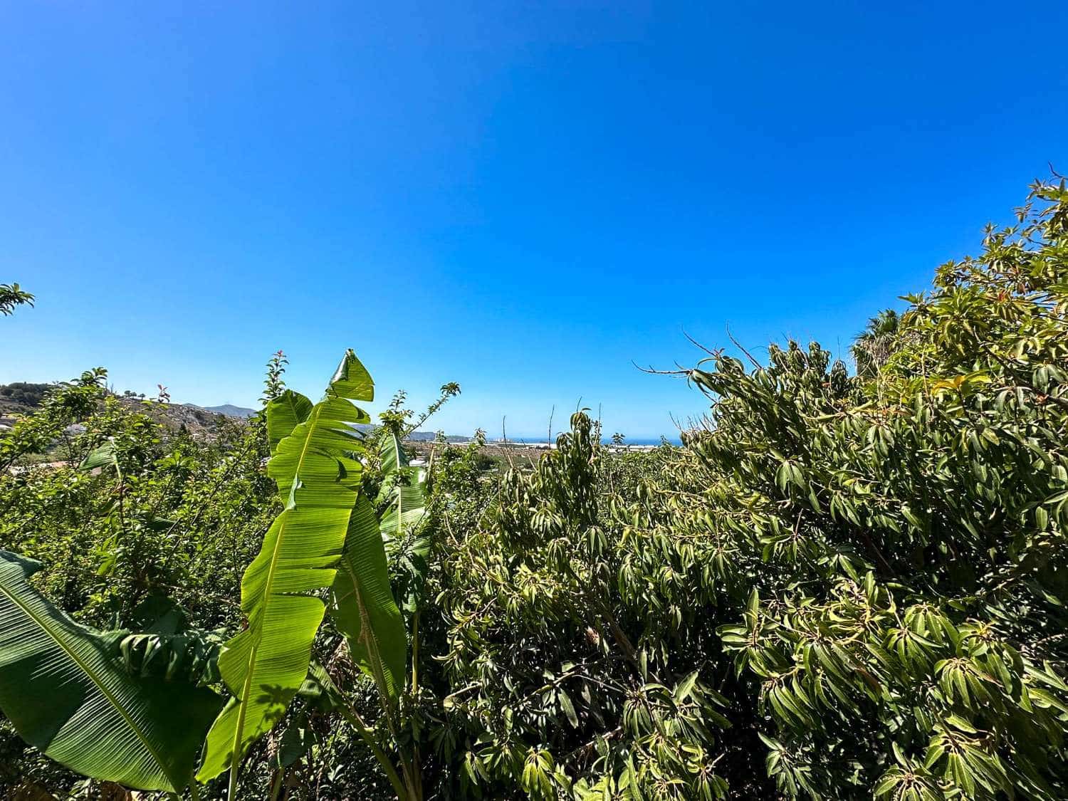 4 soveværelse Byhus til salg i Motril med swimmingpool - € 780.000 (Ref: 6338283)