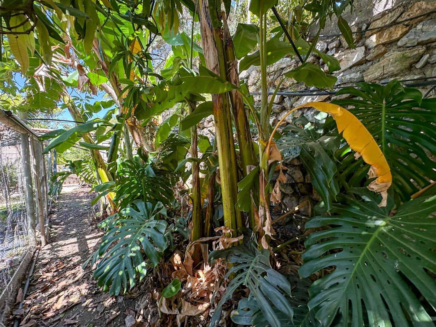 4 soveværelse Byhus til salg i Motril med swimmingpool - € 780.000 (Ref: 6338283)