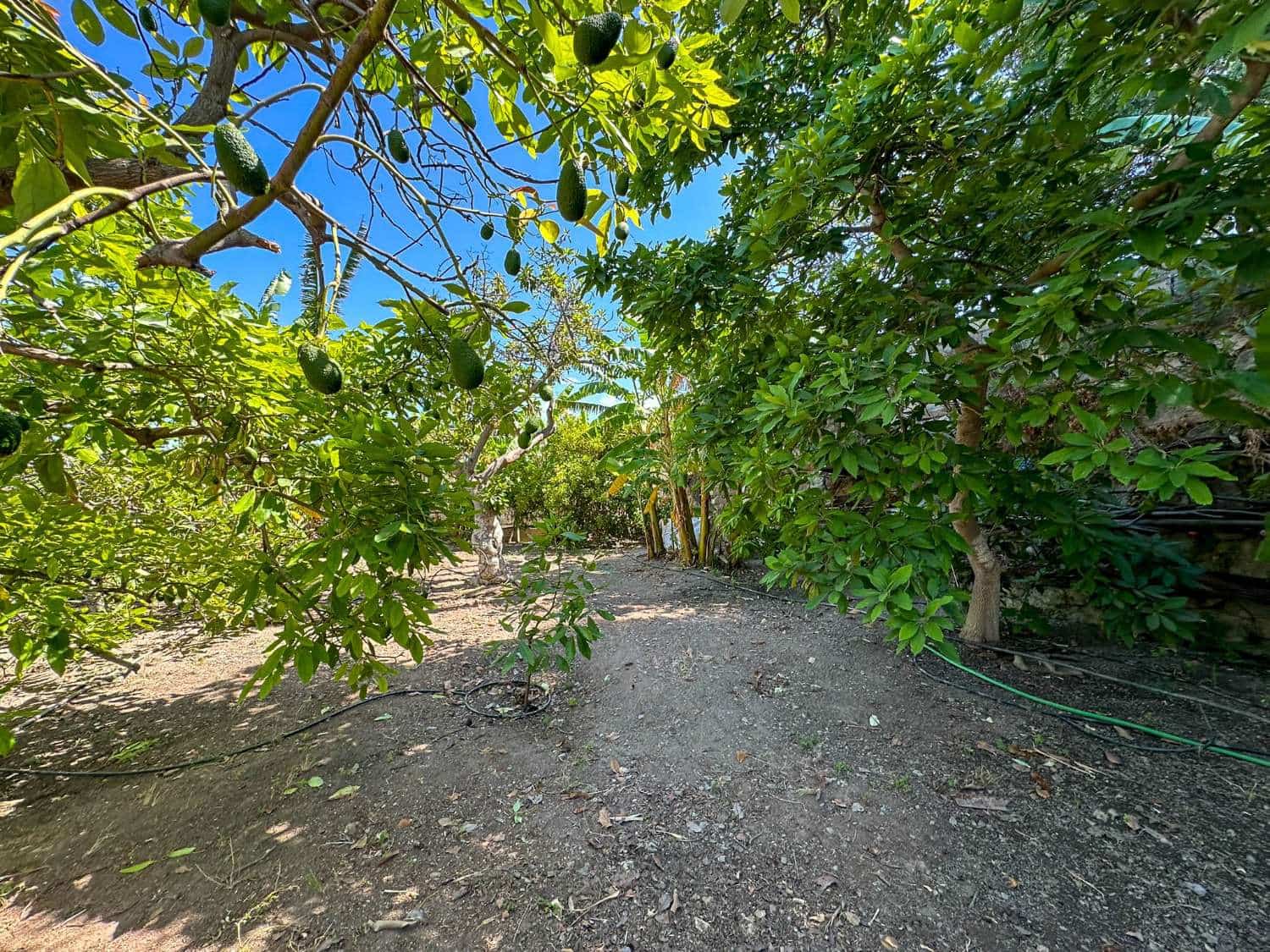 4 soveværelse Byhus til salg i Motril med swimmingpool - € 780.000 (Ref: 6338283)