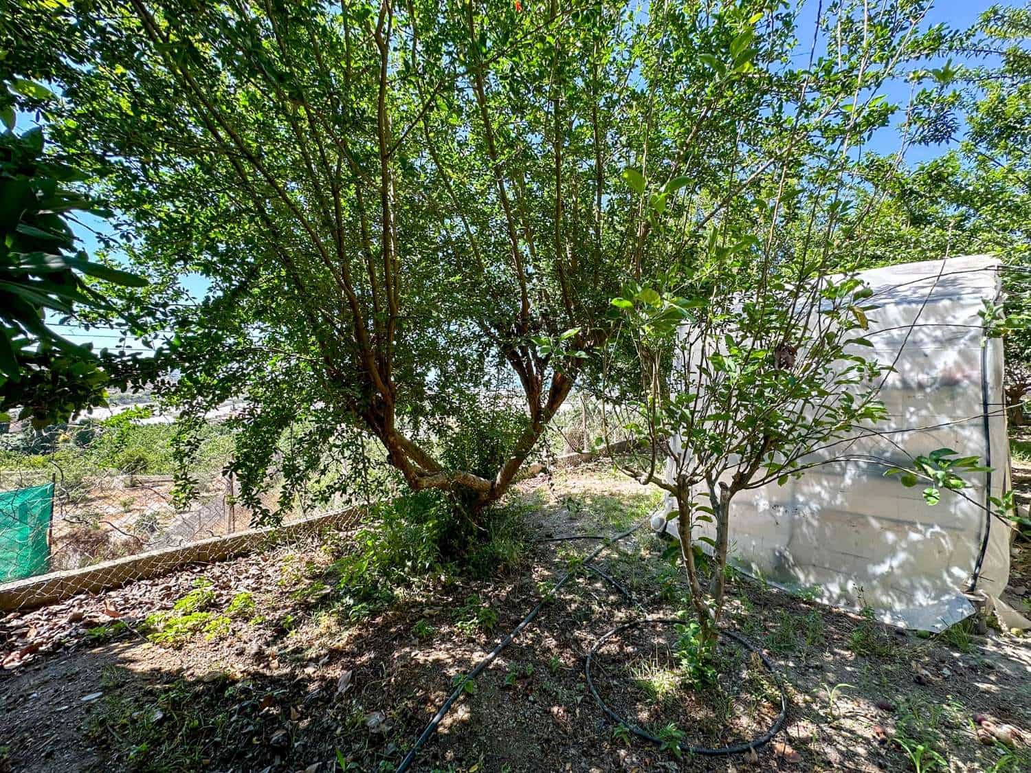 4 soveværelse Byhus til salg i Motril med swimmingpool - € 780.000 (Ref: 6338283)