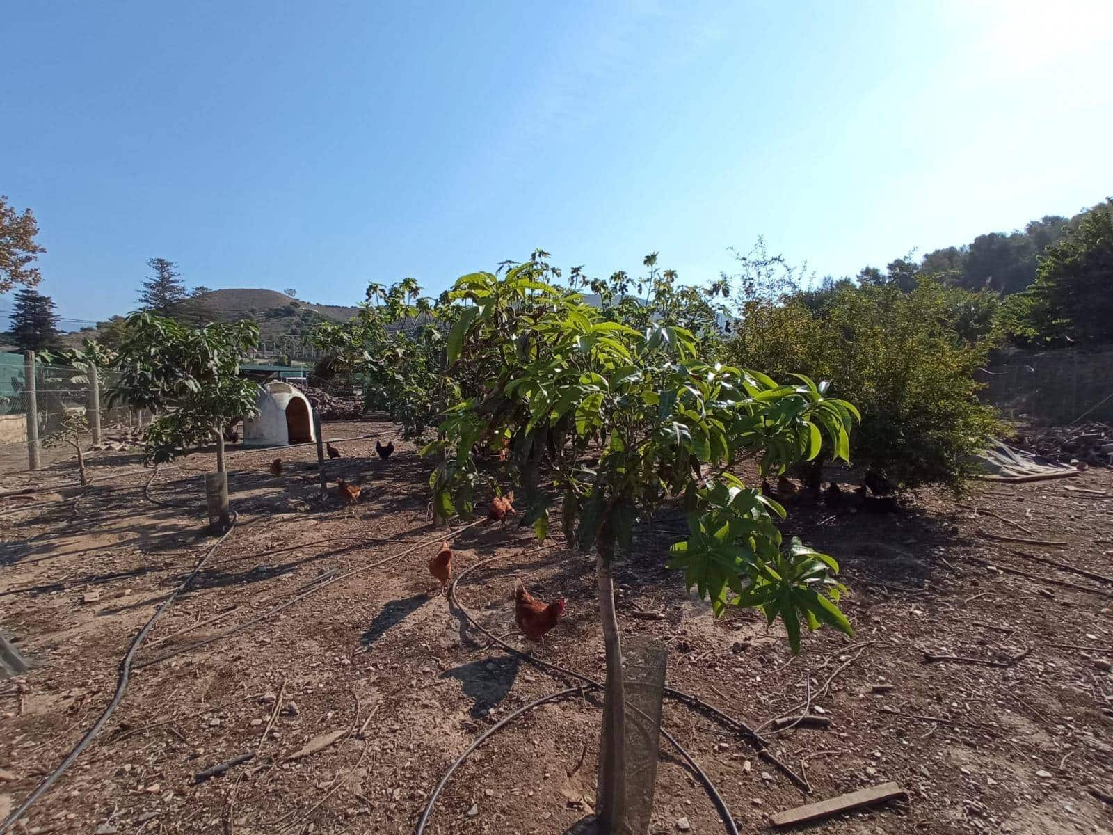 6 soveværelse Villa til salg i Motril - € 784.900 (Ref: 6369432)