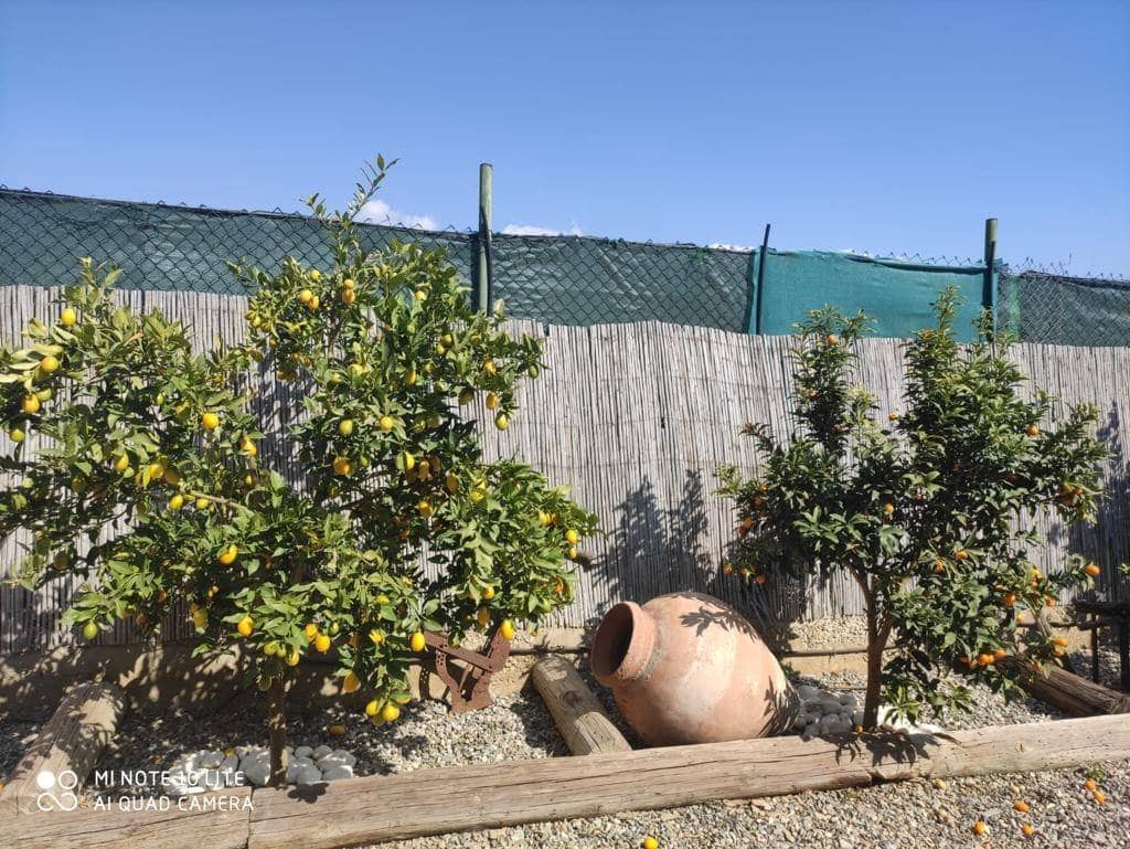 6 soveværelse Villa til salg i Motril - € 784.900 (Ref: 6369432)