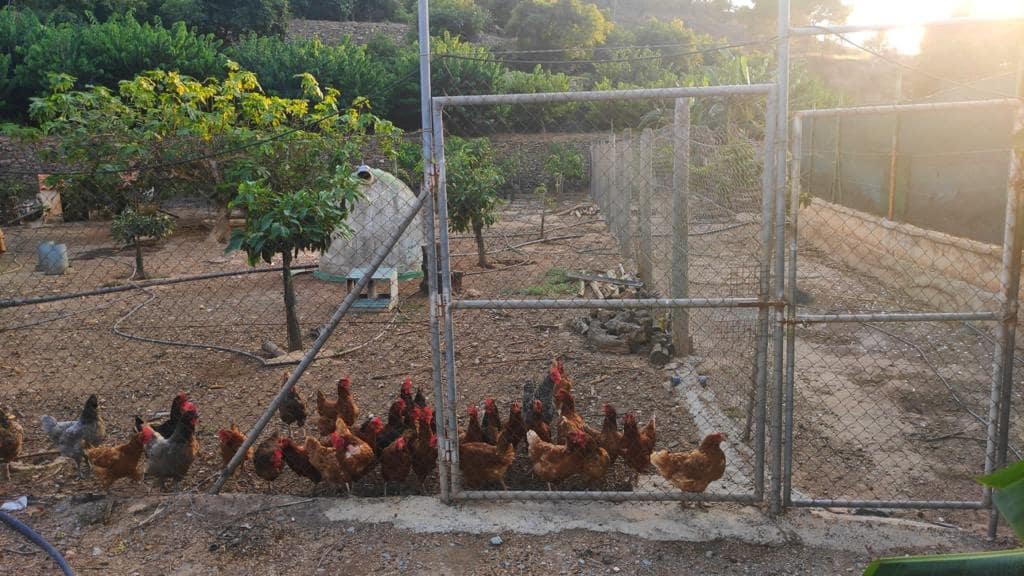 6 soveværelse Villa til salg i Motril - € 784.900 (Ref: 6369432)