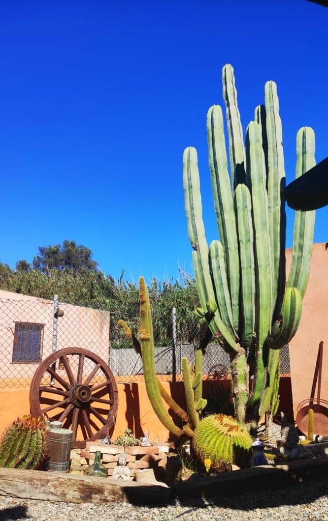 6 soveværelse Villa til salg i Motril - € 784.900 (Ref: 6369432)