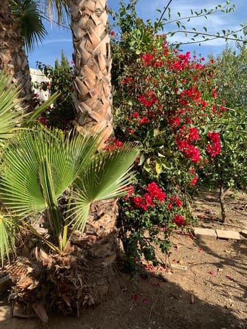 Building Plot for sale in Salobreña - € 170,000 (Ref: 6873907)