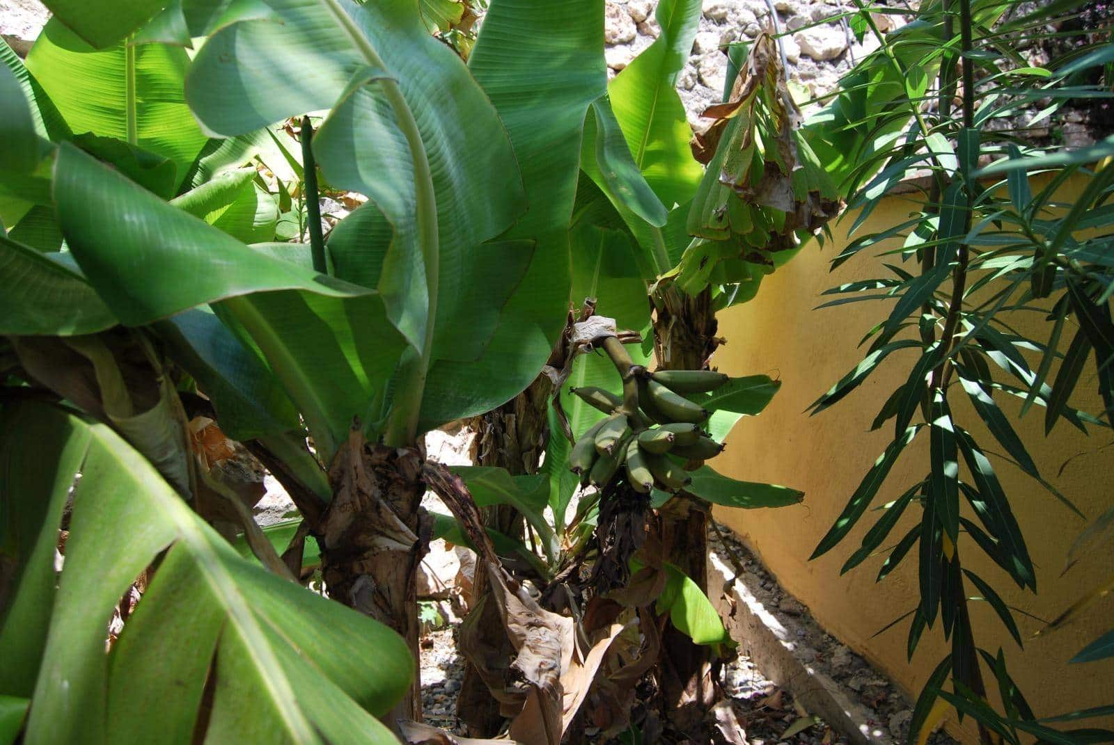 6 sypialnia Willa na sprzedaż w Salobrena z basenem - 1 190 000 € (Ref: 7591621)