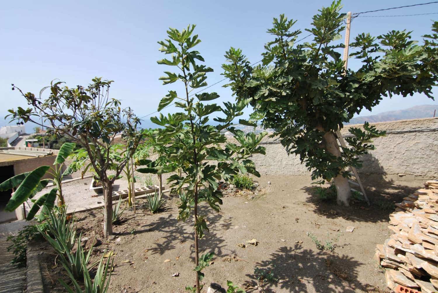 2 sypialnia Finka/Dom wiejski na sprzedaż w Salobrena z basenem - 265 000 € (Ref: 7812783)