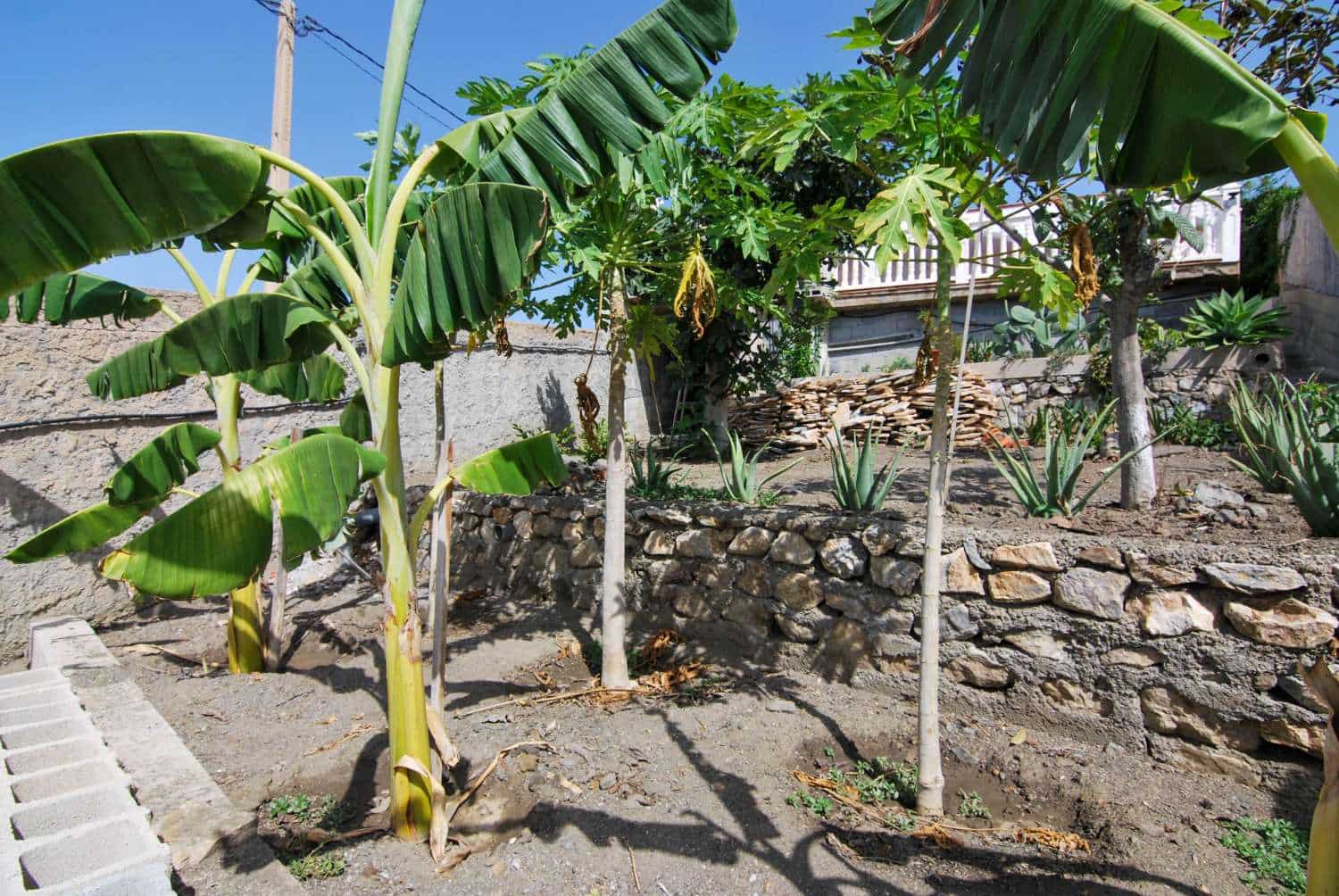 2 sypialnia Finka/Dom wiejski na sprzedaż w Salobrena z basenem - 265 000 € (Ref: 7812783)