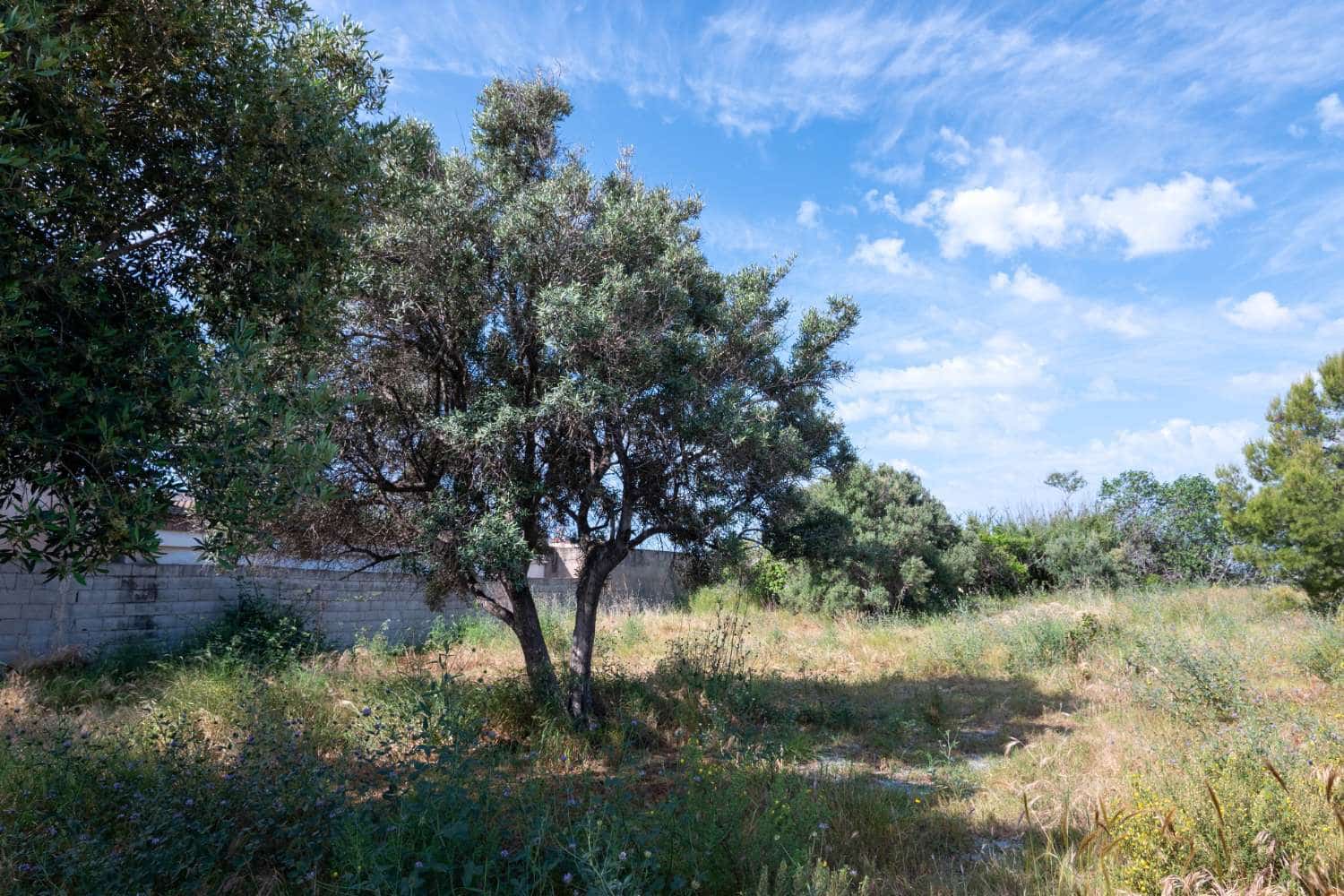 2 chambre Finca/Maison de Campagne à vendre à Motril - 170 000 € (Ref: 8016489)