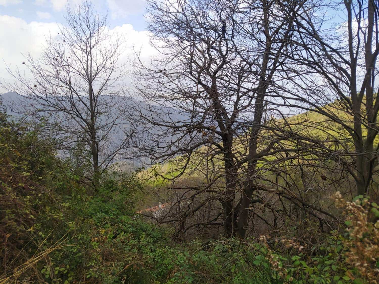 3 soverom Finca/Herregård til salgs i Los Guajares - € 90 000 (Ref: 8086098)