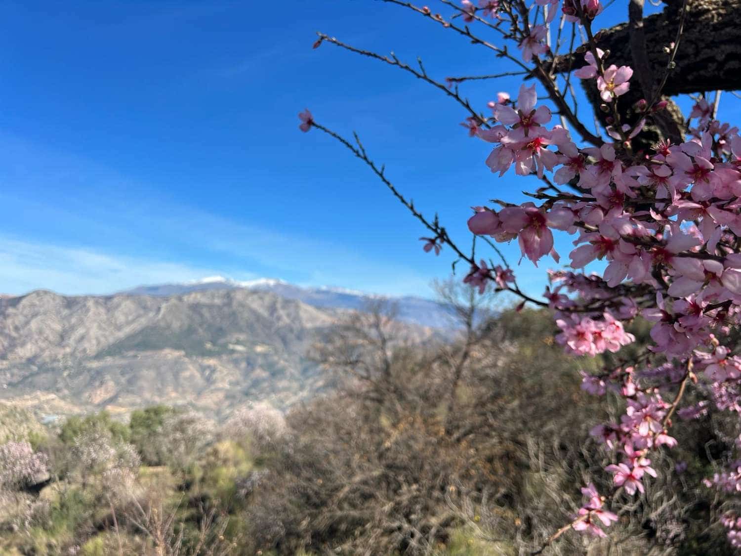 3 soverom Finca/Herregård til salgs i Los Guajares - € 90 000 (Ref: 8086098)