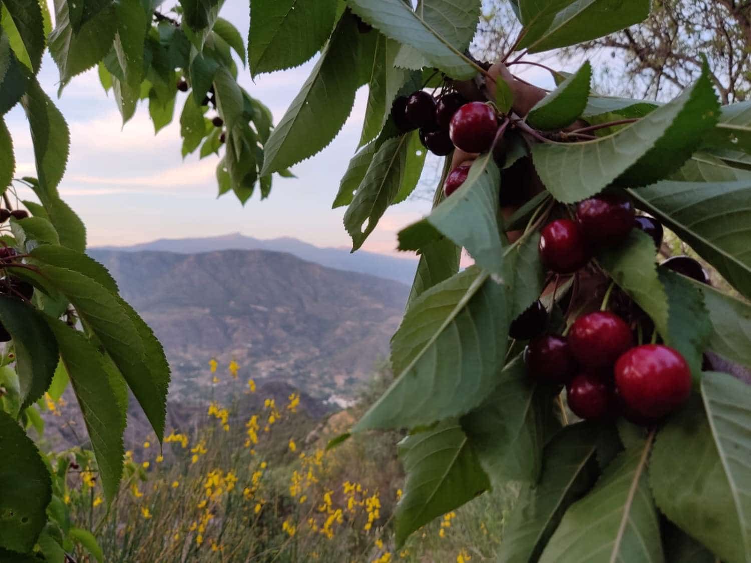 3 soverom Finca/Herregård til salgs i Los Guajares - € 90 000 (Ref: 8086098)