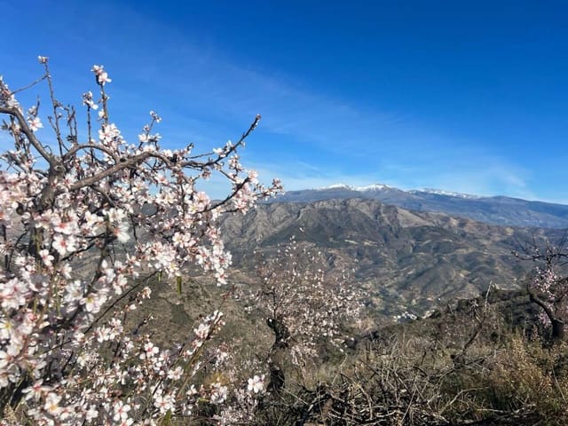 3 soveværelse Finca/Landehus til salg i Los Guajares - € 90.000 (Ref: 8086098)