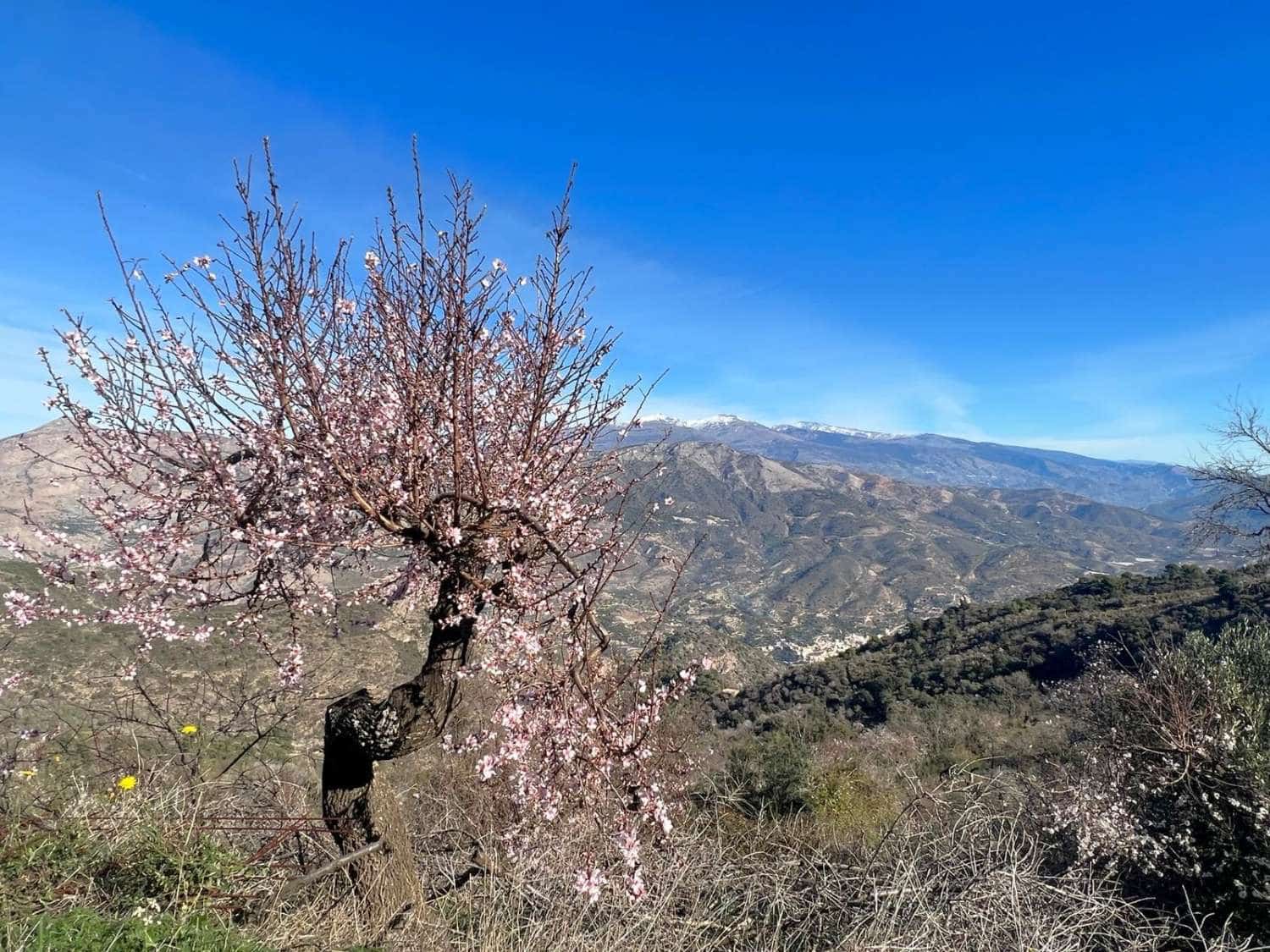 3 soverom Finca/Herregård til salgs i Los Guajares - € 90 000 (Ref: 8086098)