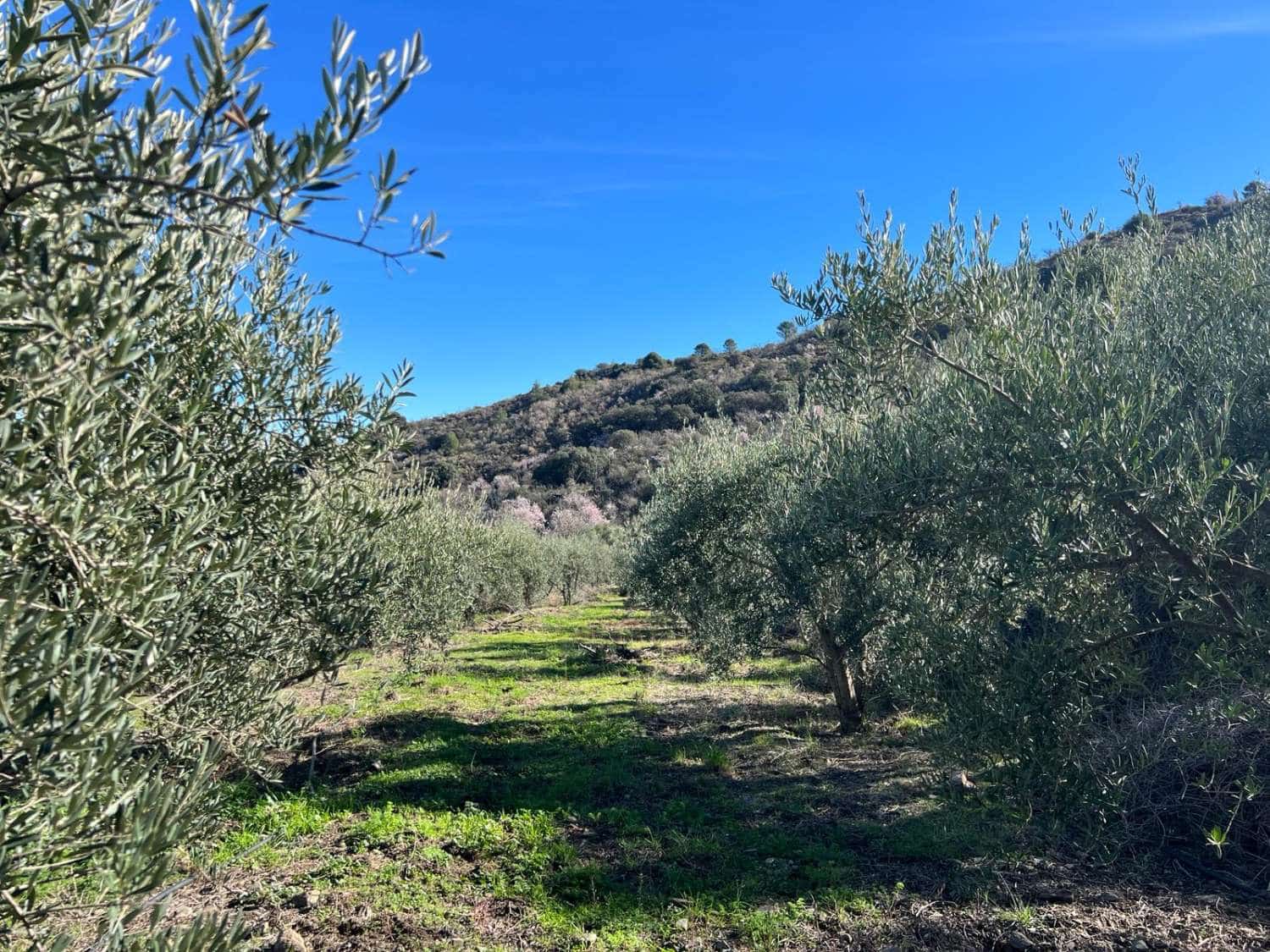 3 soverom Finca/Herregård til salgs i Los Guajares - € 90 000 (Ref: 8086098)