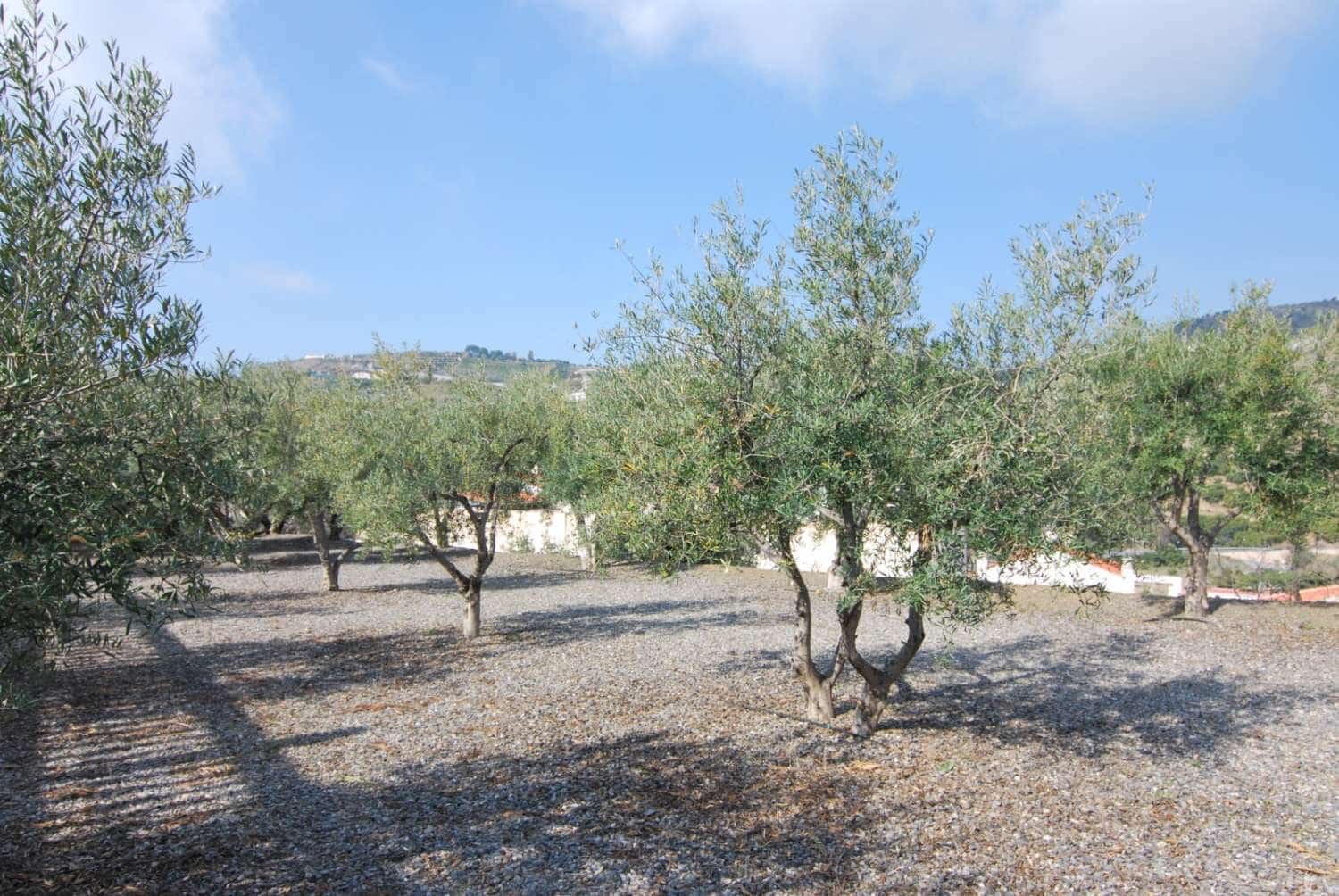 5 soveværelse Villa til salg i Itrabo med swimmingpool garage - € 1.500.000 (Ref: 8867033)