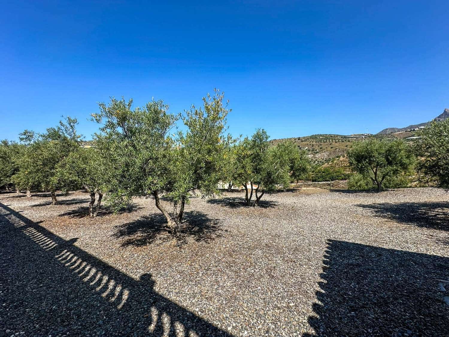 5 soveværelse Villa til salg i Itrabo med swimmingpool garage - € 1.500.000 (Ref: 8867033)