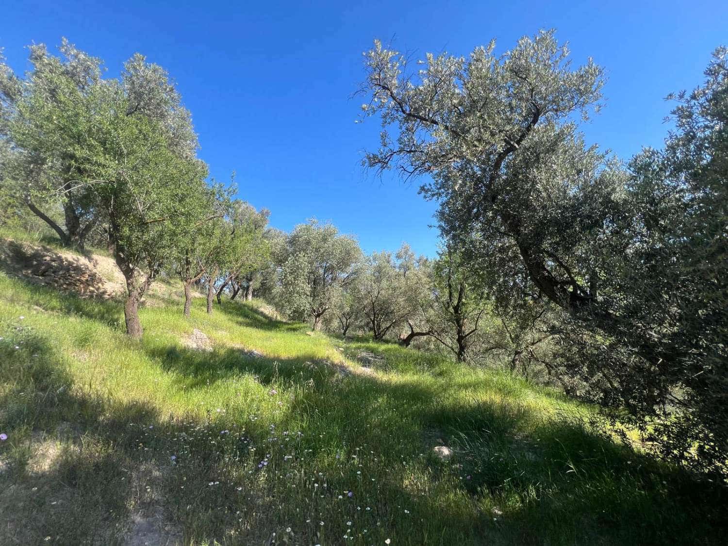 4 soveværelse Finca/Landehus til salg i Lanjaron - € 485.000 (Ref: 9013749)