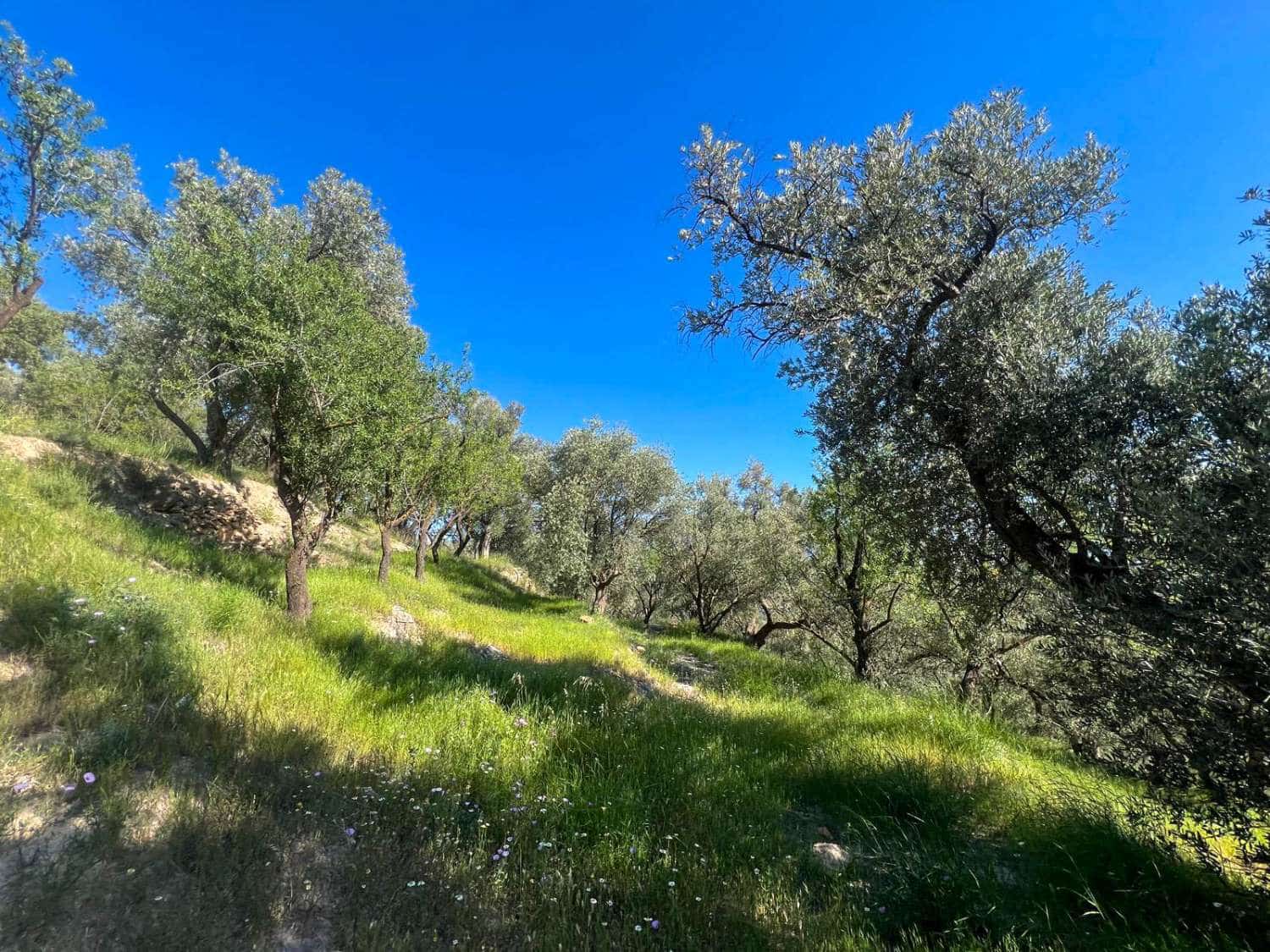 4 soveværelse Finca/Landehus til salg i Lanjaron - € 485.000 (Ref: 9013749)