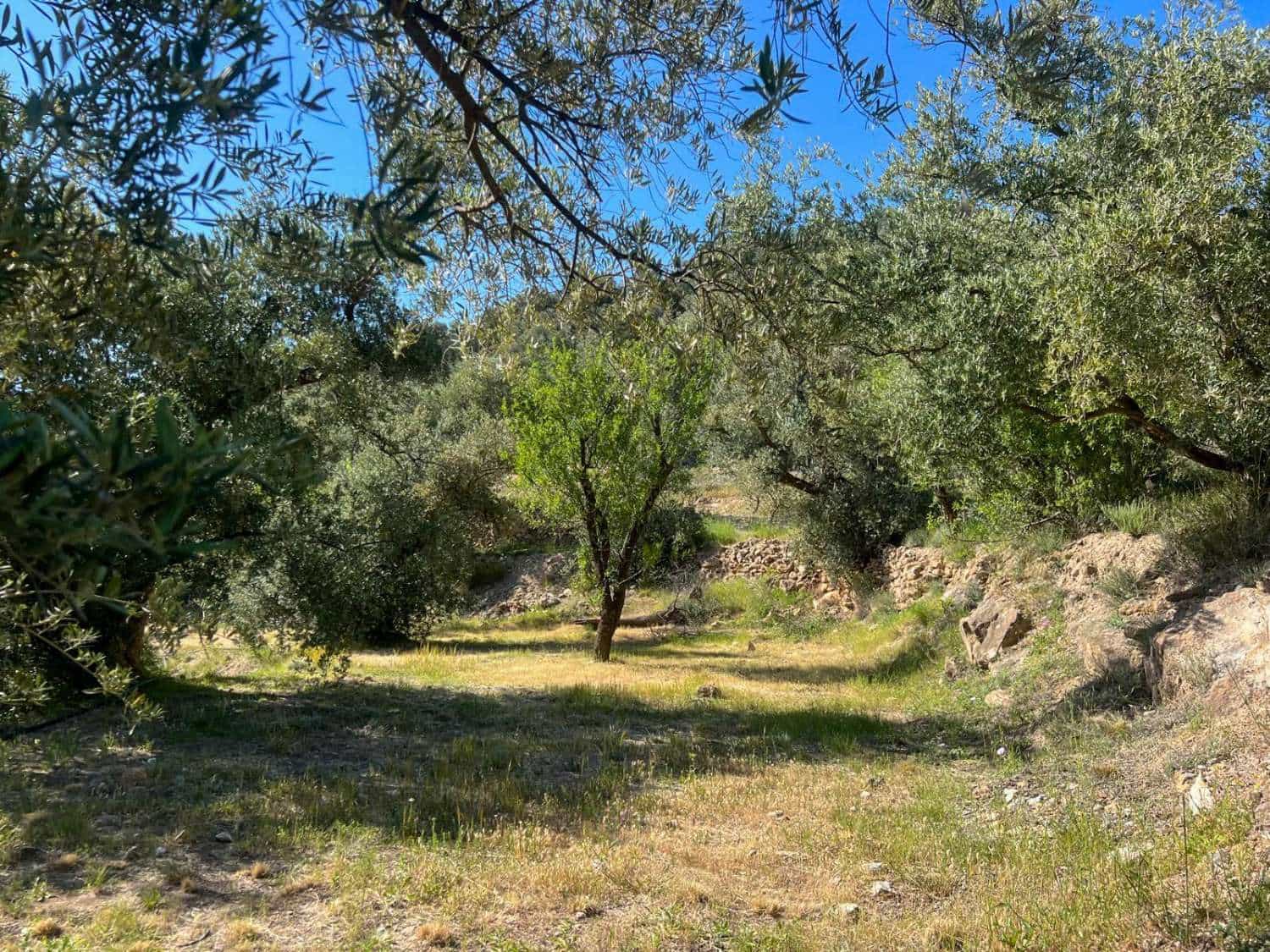 4 soveværelse Finca/Landehus til salg i Lanjaron - € 485.000 (Ref: 9013749)