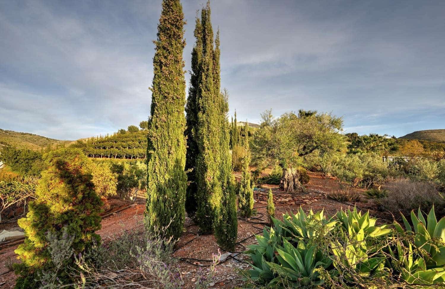 3 soveværelse Byhus til salg i Motril med swimmingpool - € 583.000 (Ref: 9142131)