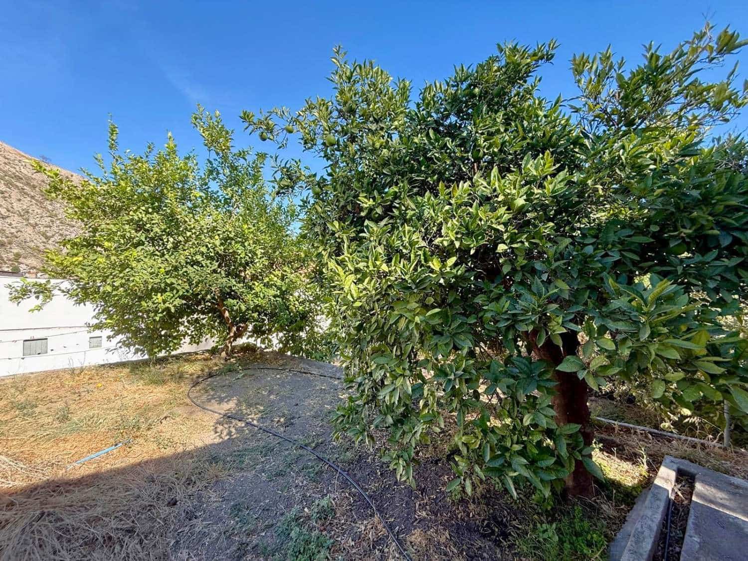 5 sovrum Hus till salu i Los Guajares - 180 000 € (Ref: 9256814)