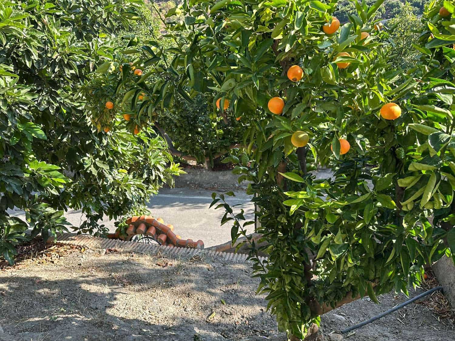 2 soveværelse Lejlighed til salg i Los Guajares - € 95.000 (Ref: 9300674)